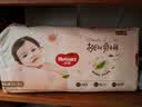 好奇（Huggies）铂金装小桃裤纸尿裤XL96片(12-17kg)加大号尿不湿透【透爽散热】 实拍图