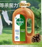 滴露（Dettol）消毒液洗衣衣物消毒水750mL 除螨杀菌混洗无忧 家居地板消毒 非84 实拍图