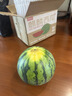 京鲜生 无籽麒麟瓜西瓜 1粒装 净重5-7斤 生鲜水果源头直发包邮 实拍图