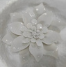 贝拉米（Bellamy's）经典2.0版1段新生儿婴儿有机奶粉800g*6罐 八大原生HMO 澳洲进口 实拍图