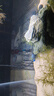 YEE不锈钢加热棒防爆自动恒温水族箱加热器鱼缸小型乌龟缸加温棒 【纯钢防爆升级】（100W）带保护套+水温计 实拍图