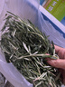 千牛优福芝麻菜250g-500g 新鲜蔬菜沙拉食材 生菜 西餐 火箭菜 新鲜芝麻菜500g 晒单实拍图