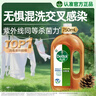 滴露（Dettol）消毒液洗衣衣物消毒水750mL 除螨杀菌混洗无忧 家居地板消毒 非84 实拍图