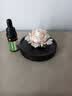Para Ella永生花陶瓷牡丹生日礼物女朋友伴手礼妈妈结婚毕业退休520情人节 实拍图