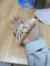 ELLE蝴蝶高级感简约发夹后脑勺亚克力抓夹女大号送女友教师节礼物 实拍图
