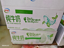伊利【新鲜日期】纯牛奶苗条装 200ml*24盒 优质乳蛋白 礼盒装 实拍图