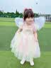 G.duck童装女童连衣裙夏装新款公主裙儿童礼服裙子夏季61儿童节礼物女孩 翅膀彩虹蛋糕裙 110码建议100-110cm年龄4-5岁 实拍图