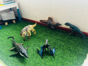 Jurassic World生日儿童礼物男孩恐龙玩具电影同款侏罗纪世界大电影之沧龙JCH00 实拍图