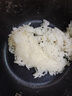 美的（Midea）小电饭煲迷你微压小型家用电饭煲1-2人用电饭锅小电锅宿舍用老式多功能煲汤煮饭煮粥不粘内胆 【趣味小猪煲】一键快煮 1.6L 黑晶防粘内胆 实拍图