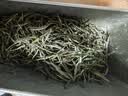 茶半春茉莉兰妃茶30g踏雪级飘雪明前茶叶 2026新茶蒙顶山茉莉花茶盒装 实拍图