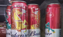 百威啤酒TOP淡色拉格450ml*18听整箱装京东自营新老包装混发踏春送礼 实拍图