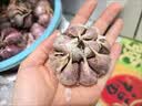 中鲜生云南大理紫白皮大蒜 干蒜 大蒜头2026年新货蔬菜生鲜 净重1斤装【26年干蒜大果】 实拍图