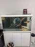 森森（SUNSUN）大型鱼缸底过滤水族箱客厅家用落地玻璃生态金鱼缸 【实时温显+灯控】珍珠白 1.2米长35cm宽 实拍图