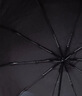 天堂伞 全自动雨伞三折 10骨加固一键开收易甩干简约晴雨伞 乌木黑 实拍图