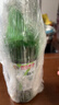 燕京啤酒 10度精品纯生 啤酒500ml*12瓶/罐 整箱装 燕京纯生500ml*12玻璃瓶装 晒单实拍图