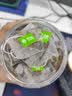 艺佰酸梅汤免煮老北京酸梅汤原料包夏季清爽消暑可冷泡茶30包/480克 实拍图