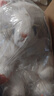 威尔通（WELTSTON）毛绒玩具布偶猫玩偶抱枕布偶布娃娃送女孩生日礼物礼品送女生生日 实拍图