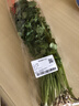带根香菜100g 实拍图