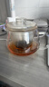 诗米乐 耐热玻璃茶杯加厚玻璃茶壶带嘴泡茶杯茶水分离杯喝茶杯过滤杯子 共茗杯 480ml 实拍图