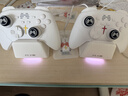 北通鲲鹏20无线游戏手柄AI智控双切扳机TMR震动蓝牙xbox类电脑PC手机steam电视NSswitch2体感深海迷航 实拍图