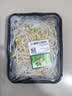 绿豆芽200g 实拍图