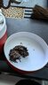 大益TAETEA茶叶普洱茶熟茶 如意沱茶盒装 100g/沱 口粮茶 中华老字号  实拍图