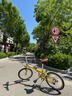 大行（DAHON）折叠自行车配件车座p8k3坐垫公路车座鞍单车减震座椅14-24寸通用 大坐垫【棕色】 实拍图