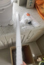 德尔玛（Deerma）【重磅新品】TJ700S 干吹两用吸尘器 家用商用 吸尘器桶式大吸力 整机降噪设计ZN-530 实拍图