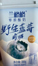 兰格格草原酸奶 野生蓝莓300g*2杯0蔗糖酸奶 生鲜低温 酸牛奶 实拍图