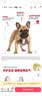 皇家狗粮 斗牛犬成犬狗粮 犬粮 宠物中型犬 FBA26 全价犬粮 ≥12月3KG 实拍图