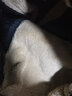 柏威驰中老年男装棉裤男士加厚加绒裤老人冬季保暖休闲裤宽松高腰直筒裤 黑色+黑灰 特厚羊羔绒两条装 3XL 体重140-160腰围2尺6－2尺8 实拍图