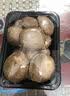 鲜香菇约200g 实拍图