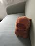 卡皮巴拉毛绒玩具公仔儿童生日礼物女孩情人节礼物水豚毛绒玩偶 卡皮巴拉公仔 1个装（新人专享） 实拍图