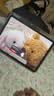 闪魔适用iPad Air8/7/6钢化膜11英寸2026/25年款M4芯片Apple平板电脑贴膜全屏防摔抗指纹高清保护膜 实拍图
