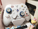 飞智冰原狼4多模版无线游戏手柄 类xbox 力调节摇杆双切扳机 switch电脑PC手机steam体感NS 仁王3 实拍图