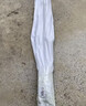 联塑  PVC穿线管 阻燃电线管走线管国标加厚电料配件 dn20-2米*5根送8个配件【京仓速达】  实拍图