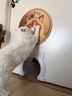 HELLOJOY猫抓板贴墙立式墙贴瓦楞纸耐抓耐磨不掉屑防猫抓垫沙发保护磨爪贴 实拍图