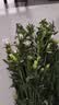 旺昌景德镇陶瓷盘子套装创意简约深菜盘子家用鱼盘西餐盘碟子餐具组合 国色天香4.5英寸高脚碗10只 实拍图