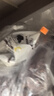 新良魔堡蛋糕粉5斤装 低筋面粉 烘焙原料 饼干糕点用小麦粉 实拍图