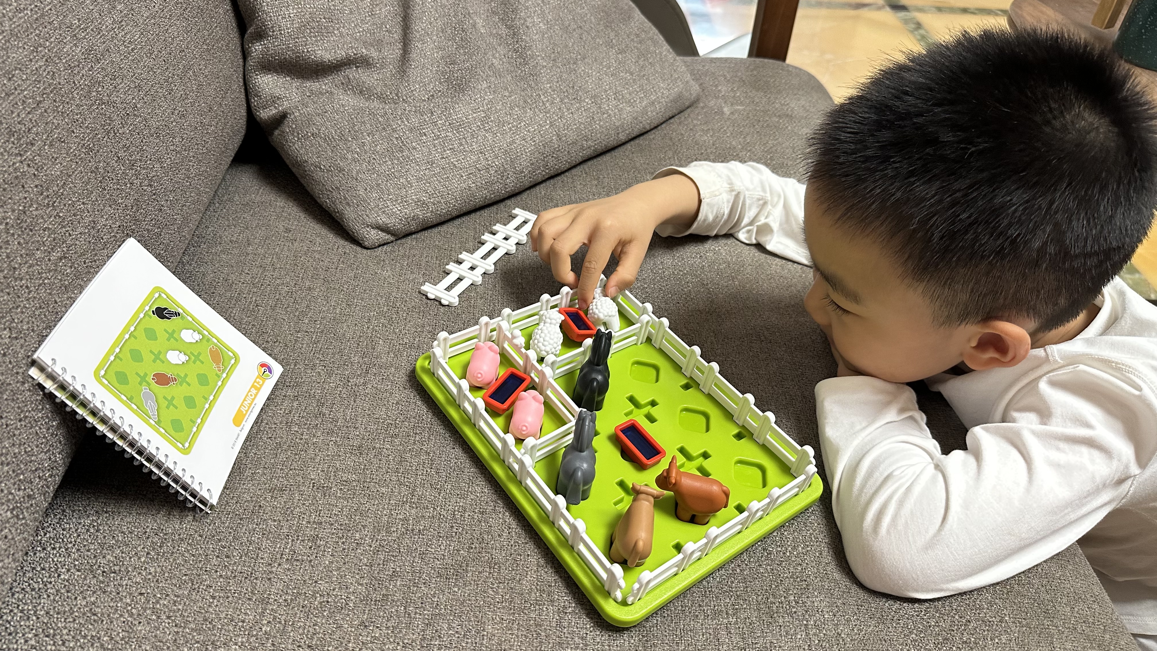 SMART GAMES智慧农场主 儿童益智桌游亲子早教闯关桌游 男孩礼物 4岁+ 实拍图