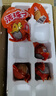 瑾贝13天金凤活珠子香辣味50g*20枚新鲜开袋即食加蘸料钢化蛋熟鸡胚蛋 实拍图