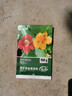 寿禾 旱金莲种子苗旱荷花盆栽花卉种子 潍育寿艺旱金莲混色种子150粒 实拍图