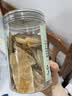 同仁堂天麻片无熏硫干天麻切片泡茶泡酒煲汤滋补养生茶100g/罐 实拍图