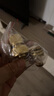 弘晨 园艺灌溉水枪接头通水接铜快速接头水管洗车水管配件快接 修补 接4/6分螺纹标准接头+6分通水接 实拍图