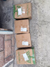 东古一品鲜酱油 特级生抽酿造酱油 提鲜点蘸凉拌炒菜 一品鲜酱油500ml*12瓶（整箱） 实拍图
