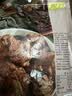 冠云牛肉309g熟食年货 无添加剂牛肉 山西平遥特产即食代餐酱卤牛肉粒 实拍图
