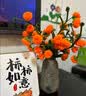 京东京造 迷你洗脸巾平板拖把16cm 夹布免手洗懒人家用拖地神器一拖净 实拍图