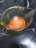 COOKSS辅食碗研磨碗喂水宝宝吃米粉米糊餐具碗勺套装带盖儿童节礼物 实拍图