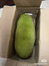 京鲜生海南老树菠萝蜜 10-15斤净重10斤+  新鲜水果 京东自营 源头直发 实拍图