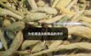 关德兴 PO CHI LAM香港 金银花茶精选山东平邑金银花露原料泡水养生凉茶礼品 实拍图